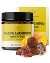 HERBAMAMA Immune Support Mushroom Gummies - Multi Mushroom Blend Complex για Αντιοξειδωτική Υποστήριξη - Vegan, μη ΓΤΟ συμπλήρωμα ανοσίας - 60 Pectin-based Mango-Flavored Chews