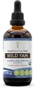 Secrets of the Tribe Wild Yam Alcohol-Free USDA Organic Tincture (Glycerite) Responsibly farmed Wild Yam (Dioscorea Villosa) Dried Root (4 Fl Oz) Hormone Support Supplement