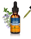 Βότανο Pharm Certified Organic Catnip Liquid Extract για την υποστήριξη του νευρικού συστήματος, 1 Fl Oz
