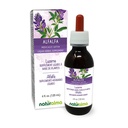 Naturalma Alfalfa ή Lucerne (Medicago Sativa) βότανο με λουλούδια Αλκοόλ-ελεύθερο Βάμμα - Πλούσιο σε φυσική χλωροφύλλη - 4 fl oz υγρό εκχύλισμα σε σταγόνες - φυτικό συμπλήρωμα - Vegan