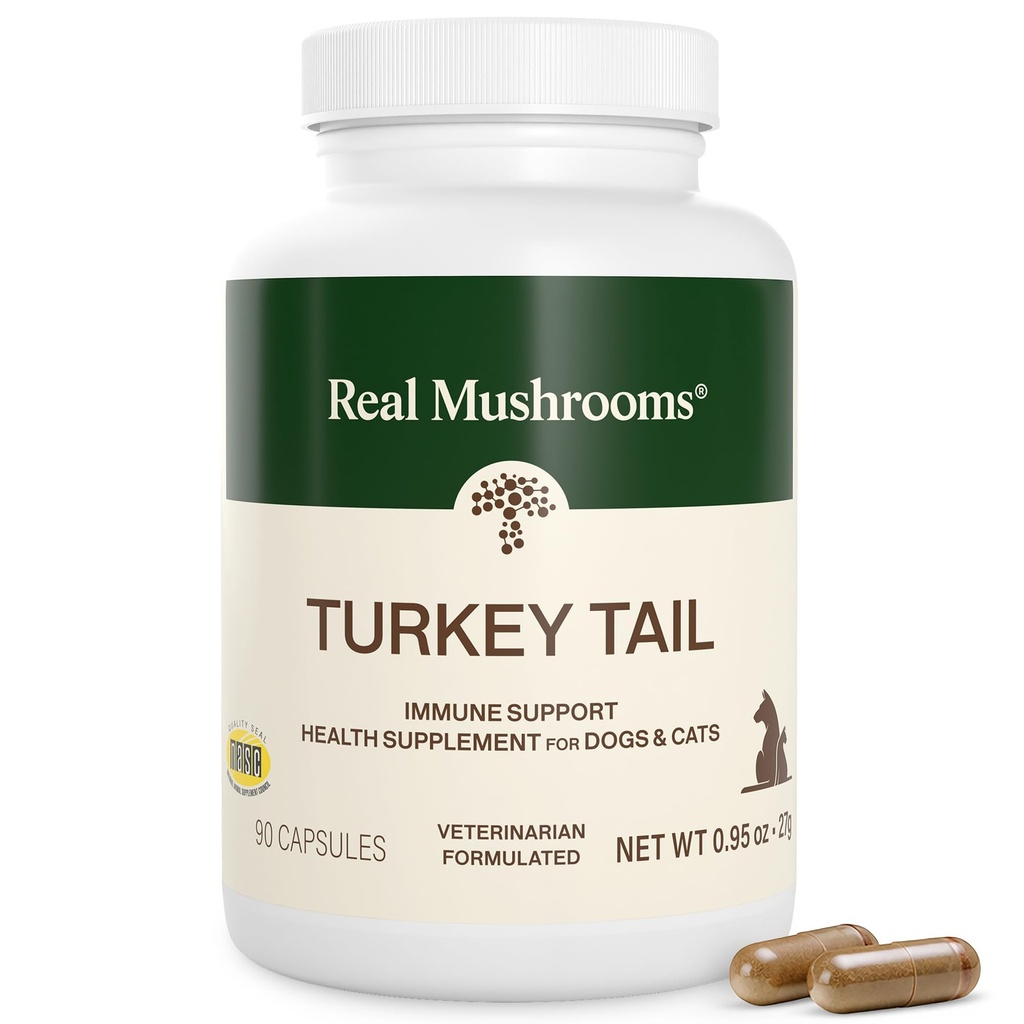 Real Mushrooms Turkey Κάψουλες ουράς για κατοικίδια –Cat Προβιοτικά & Βιταμίνες σκύλου – Βιολογικό συμπλήρωμα μανιταριών για σκύλους & γάτες – Υποστηρίζει την καθημερινή ισορροπία και την ευεξία μη GMO, 90 ct