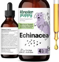 Forever Puppy Echinacea σταγόνες για σκύλους - Ανοσία Υποστήριξη & αναπνευστική υγεία w/Echinacea εκχύλισμα βοτάνων - υγρό ανοσοποιητικό συμπλήρωμα υποστήριξης για σκύλους όλων των Φυλή & Μεγέθη - 4 oz