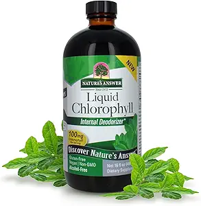 Nature's Answer Liquid Chlorophyll, 100 mg, 16 fl oz (480 ml)