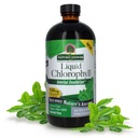 Απάντηση της Φύσης Υγρή Χλωροφύλλη, 100 mg, 16 fl oz (480 ml)