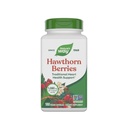 Nature's Way Hawthorn Μούρα - Παραδοσιακή Υποστήριξη για την Υγεία της Καρδιάς* - Μη ΓΤΟ Πρόγραμμα Επαληθευμένο - Συμπλήρωμα βοτάνων - Χωρίς γλουτένη - 180 κάψουλες Vegan