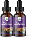 Natures Craft USDA Organic Ashwagandha Liquid Drops - Υγρό εκχύλισμα ρίζας Ashwagandha για το στρες και την υποστήριξη της διάθεσης - Νόστιμο προσαρμογόνο χρώμα μη ΓΤΟ Vegan Gluten αλκοόλη και ζάχαρη χωρίς (2 πακέτο)