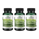 Σουάνσον Lion's Mane Mushroom - Παραδοσιακό συμπλήρωμα Booster εγκεφάλου Made from Hericium Erinaceus (60 κάψουλες, 500mg έκαστος) 3 Pack