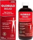 Globulo Rojo Συμπλήρωμα σιδήρου - Υγρό συμπλήρωμα διατροφής με υψηλή δραστικότητα Σιδήρου & Β Βιταμίνες (Vegan) (1 Συσκευασία)