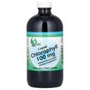 World Organics Chlorophyl Supplement Liquids, 100 mg, 16 Ουγγιά, 16 Fl Oz (πακέτο του 1)