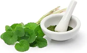 (Συσκευασία 2) Βιολογική σκόνη Centella Asiatica (50g)