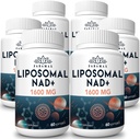 1600 mg Liposomal NAD Supplement, 98% Pure NAD+ Supplement, Superior Abvortion, Εναλλακτική στη Νικοτιναμίδη Ριβοζίδιο ή NADH για την ενίσχυση της NAD+ για τη γήρανση της άμυνας, της ενέργειας, της μακροζωίας, 360 Softgels