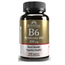 VIT B-6 TABS 100 MG WMILL 100
