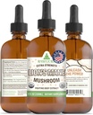 RawGuru Lion's Mushroom Tincture - Vegan Lion's Mane Extract with Trace Minerals - Nano-Processed Immunity Boost & Cognitive Supplement - 120 Servings Vegan Drops ανά 120 ml, Συσκευασία 1