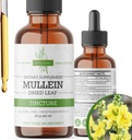 Βάμμα Mullein – Βιολογικές σταγόνες Mullein για την υποστήριξη του πνεύμονα και την αναπνευστική ευεξία – Made in The USA – 2 Fl Oz