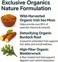 ORGANICS NATURE Irish Sea Moss Capsules 45 Servings | High Potency Seamoss Pills | Dr. Sebi Approved Sea Moss for Energy 90 Vegan Capsules