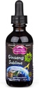 Dragon Herbs Ginseng Sublime Drops 
