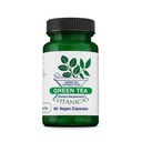 Vitanica Green Tea - 330 mg Green Tea Polyphenols - Αντιοξειδωτικό συμπλήρωμα για την υποστήριξη της ανοσοποιητικής υγείας - Vegan συμπλήρωμα για την υγεία του μαστού - Pro Logo - 60 Vegan Caps