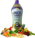 REH Kings Herbal Plus Συμπληρώματα διατροφής Χυμός (1000ml) - 80 Συστατικά - Μείγμα λαχανικών, βοτάνων και φρούτων - Ανοσοποιητική υποστήριξη για το Optimum Healthy State - Καθημερινή πολυβιταμίνη, 1 μπουκάλι