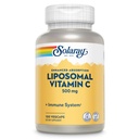 SOLARAY Liposomal Vitamin C 500mg - Ενισχυμένη απορρόφηση Βιταμίνη C Λιποσωμική ανάμειξη με λιπαρά οξέα - Συμπλήρωμα αντιοξειδωτικής και ανοσοποιητικής υποστήριξης - Vegan, 60-Day εγγύηση, 100 υπηρεσίες, 100 VegCaps