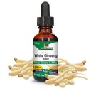 Απάντηση της φύσης Λευκό Ginseng ρίζα αλκοόλ Δωρεάν 1 ρευστή ουγγιά 
