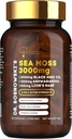 BioActive Sea Moss του Δρ. Sosnowski 8-σε-1 Formula Εμπλουτισμένη με Μαύρο Σπόρο, Ashwagandha, Turmeric, Manuka Honey, Lion's Mane, Royal Jelly, Bee Propolis Extract 60 κάψουλες