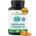 ForestLeaf Vitamin B2 Riboflavin 400mg - Ενέργεια, Δέρμα & Κυτταρική Υγεία συμπλήρωμα - Υποστήριξη νευρικού συστήματος - Βιταμίνη B 2 VIT B - Μη ΓΤΟ & Χωρίς γλουτένη - B2 Βιταμίνη 400mg Καψάκια λαχανικών, 90 Count