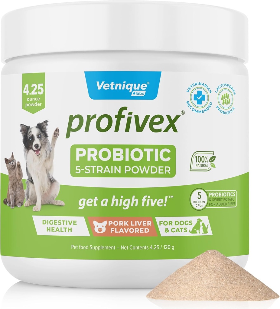 Vetnique Labs Profivex Probiotics για σκύλους Όλα τα φυσικά σκυλιά Chews & σκόνη για Digestive Υγεία Probiotic συμπληρώματα για σκύλους 5 Strains των προβιοτικών & προβιοτικών (Powder, 4.25oz)