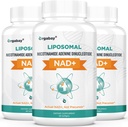 Οργκαμπάι Λιποσωμικό NAD+ Συμπλήρωμα 500 mg, Υψηλή Απορρόφηση, Ενισχύστε NAD+ με TMG 250 mg, Πραγματική NAD Plus Περισσότερα Αποτελεσματική από Νικοτιναμίδη Ριβοζίδιο, Υποστήριξη Κυτταρική Ενέργεια, Υγιεινή Γήρανση 180 Softgels