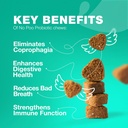 No Poo Chewables for Dogs - Ένζυμα, Probiotics σκύλου για Digestive Health - Canine Digestive, Gut & ανοσοποιητικό συμπλήρωμα υγείας
