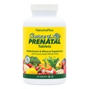 Natures Plus Source of Life Prenatal - 800 mcg Folate, 90 χορτοφαγικά δισκία - Όλα τα φυσικά προγεννητική βιταμίνη & ορυκτά με σίδηρο & ασβέστιο - Βέλτιστη υγεία & ενέργεια - Χωρίς γλουτένη - 45 Σερβιέτες