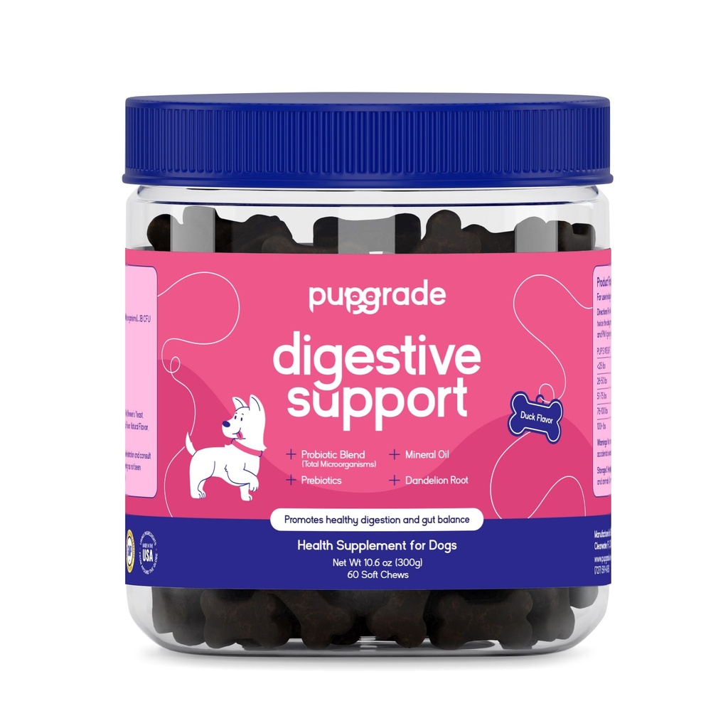 PupGrade Digestive Support Chews for Dogs - Prebiotic και Probiotic συμπλήρωμα με Enzyme Blend - Αναστατωμένο στομάχι, Διάρροια, Bowel, και ανοσοποιητική υποστήριξη - κολοκύθα, βατόμουρο, Ορυκτό Έλαιο - 60 μαλακά μάσημα