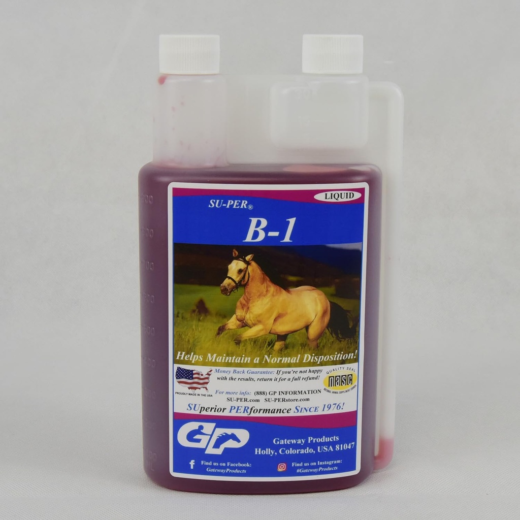 SU-PER B-1 Horse Calming Supplement - Equine Vitamin B-1 Υποστήριξη Horse Calmer Liquid - Appetite Booster Supplement for Horses - 1 Quart, (2 Pack)