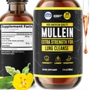 HERBIFY Mullein Extract 2 oz Βάμμα για την αναπνευστική υγεία, φύλλα και λουλούδια Mullein Blend (Verbascum Densiflorum)