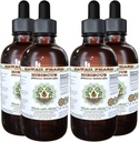 Hibiscus Alcohol-Free Liquid Extract, Organic Hibiscus (Hibiscus Sabdariffa) Dried Flower Glycerite Hawaii Pharm Natural Herbal Supplement 4x4 oz