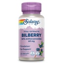 SOLARAY Bilberry Extract 60 mg ανά καψάκιο, Ισχυρό Αντιοξειδωτικό, Εγγυημένη Ικανότητα για Υγιεινή Όραση & Υποστήριξη Κυκλοφορίας 120 VegCaps