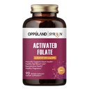 Activated Folate-L 5-MTHF DFE Supplement - Methylfolate B9 MTHF with Vitamin B12, CoQ10, & Red Raspberry - Methylated L-Methylfolate for Men and Women - 500 mcg - 90 Veggie Capsules
