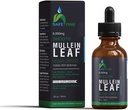 Organic Mullein Tincture Drops for αναπνευστική υγεία – Φυσική υποστήριξη πνεύμονα, χωρίς αλκοόλ, Vegan, μη ΓΤΟ, εκχύλισμα βοτάνων, 2 fl oz (60ml) Φυσική βοήθεια ύπνου & ανοσοποιητική υποστήριξη