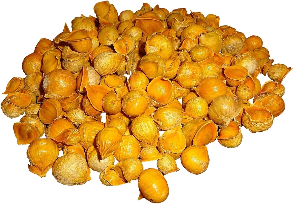 Ιαπωνικό σκόρδο//AJO Japones (100% Natural!!) Διαφορετικά βάρη: (1 Lb, 5 Lbs, και 10 Lbs) (5 Lbs)