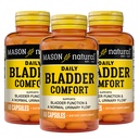 Mason Natural Daily Bladder Comfort, 30,Day Supply, with Calcium, Pumpkin Seed, and Soy Germ to Support Normal Bladder Function, 60 Capsules (Pack of 3)