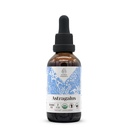 Astragalus USDA Organic Alcohol-Free Extract 