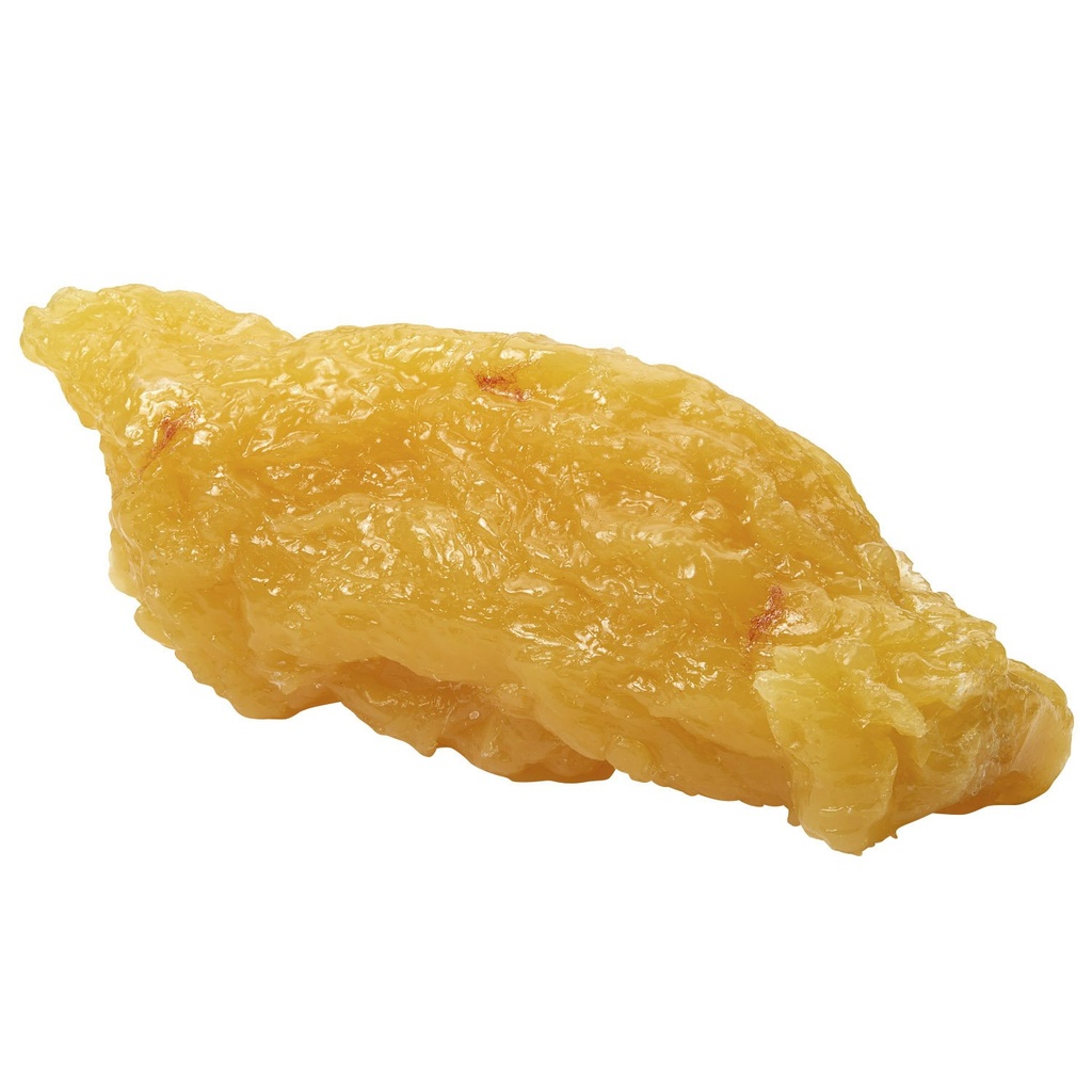 Nasco WA04313 ανθρώπινο σώμα λίπος Replica, 5 lb.