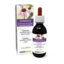Naturalma Echinacea (Echinacea angustifolia και purpurea) Ρίζα και βότανο Αλκοόλ-ελεύθερο Βάμμα - 4 fl oz Liquid Extract in Drops - φυτικό συμπλήρωμα - Vegan