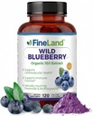 FineLand Wild Blueberry Extract, Rich in Flavonoids & Anthocyanins, Antioxidant Support for Brain & Heart Health, 4-Month Supply, 120 Vegan Capsules, Non-GMO Made in USA