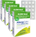 Boiron AllergyTablets 240 Count, Relief from Allergies and Hay Fever Συμπτώματα του φτάρνισμα, Runny μύτη, Ichy Eyes, Λαρύγγι, Αλλεργία Calm Tabs (Πρώην RhinAllergy) (Συσκευασία 4 60ct Boxes)