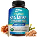 NutriFlair Organic Sea Moss 1600mg, 120 κάψουλες Plus Bladderwrack & Burdock - Prebiotic Super Food - Ανοσοποιητικό Σύστημα & Πειθητική Υγεία - Θυρεοειδές, Υγιεινό Δέρμα, Keto Detox, Gut