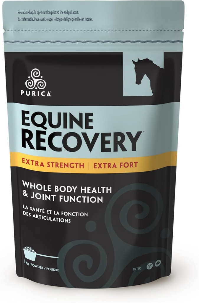 PURICA Equine Hyaluronic Acid - συμπλήρωμα κοινής υποστήριξης αλόγων με γλυκοζαμίνη, σκόνη MSM, βηταΐνη, μαγνήσιο, βιταμίνη C και Ε - Πράσινο τσάι και εκχύλισμα σπόρων σταφυλιών - προμήθειες και θεραπείες αλόγων