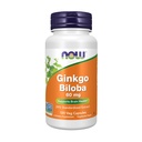 NOW Συμπληρώματα Τροφίμων, Ginkgo Biloba 60 mg, 24% Standardized Extract, Μη ΓΤΟ Έργο Επαληθευμένο, 120 κάψουλες Veg