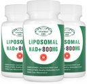 NAD+ συμπλήρωμα Liposomal NAD+ Plus 800MG Νικοτιναμίδη Ριβοζίδιο Εναλλακτική για την ενέργεια κυττάρων, την υγιή γήρανση και την αποκατάσταση μυών 180 κάψουλες (πακέτο των 3)