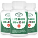 NAD+ συμπλήρωμα Liposomal NAD+ Plus 800MG Νικοτιναμίδη Ριβοζίδιο Εναλλακτική για την ενέργεια κυττάρων, την υγιή γήρανση και την αποκατάσταση μυών 180 κάψουλες (πακέτο των 3)