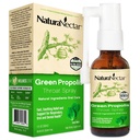 NaturaNectar - Green Propolis Laroat Spray - Μοναδικό, Καταπραϋντικό Λαρυγγικό Φροντίδα Με Βραζιλιάνικη Μέλισσα Πρόπολη - Φυσικό και Μη Αλκοολικό Λαρύγγι Θεραπεία Φόρμουλα από Βιώσιμη Μελισσοκομία (1-Pack, 30mL)